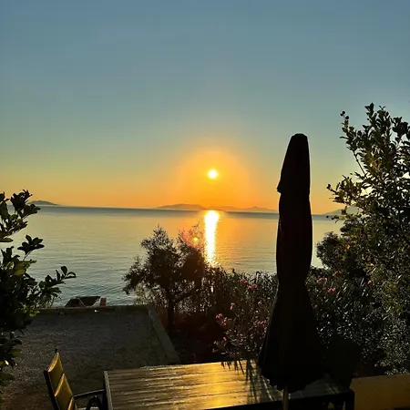 Pitidis - Davai Yialassi Epidaurus