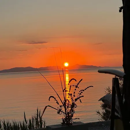 Pitidis - Davai Yialassi *